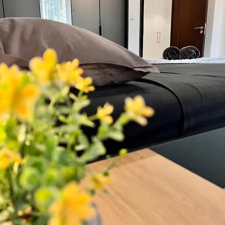 Apartamento Bodega Ii