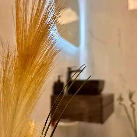 Apartamento Bodega Ii *